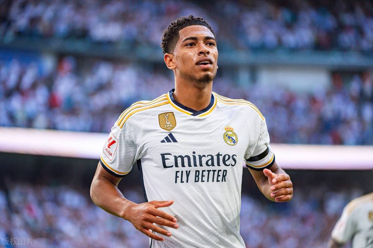 菜鸟上位 菜鸟上位